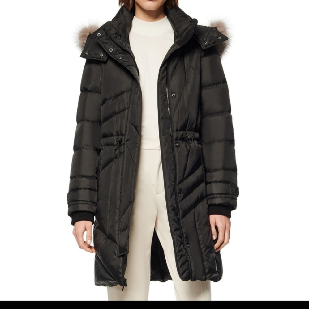 Coat